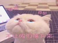 义乌市湾柑电子商务商行