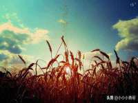 义乌市湾柑电子商务商行