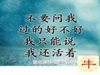 义乌市湾柑电子商务商行
