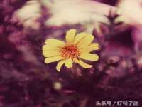 义乌市湾柑电子商务商行