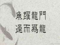 义乌市湾柑电子商务商行