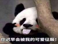 义乌市湾柑电子商务商行