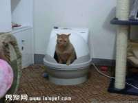 义乌市湾柑电子商务商行