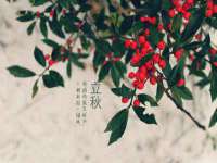 义乌市湾柑电子商务商行