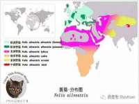 义乌市湾柑电子商务商行