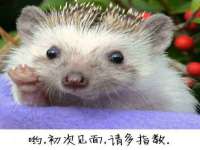 义乌市湾柑电子商务商行