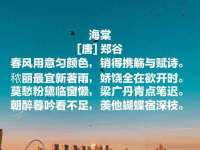 义乌市湾柑电子商务商行
