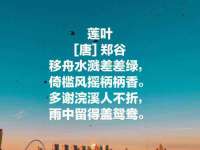义乌市湾柑电子商务商行