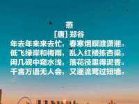 义乌市湾柑电子商务商行