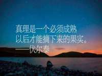 义乌市湾柑电子商务商行