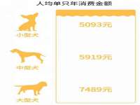 义乌市湾柑电子商务商行