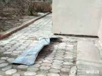 义乌市湾柑电子商务商行