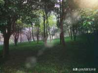 义乌市湾柑电子商务商行