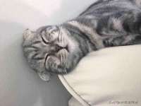 义乌市湾柑电子商务商行