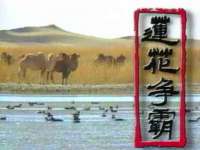 义乌市湾柑电子商务商行