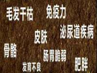 义乌市湾柑电子商务商行
