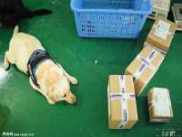 义乌市湾柑电子商务商行