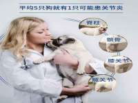 义乌市湾柑电子商务商行