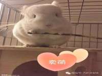 义乌市湾柑电子商务商行