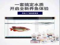 义乌市湾柑电子商务商行