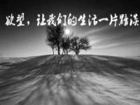 义乌市湾柑电子商务商行