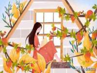义乌市湾柑电子商务商行
