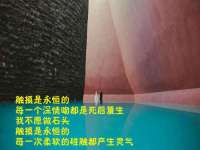 义乌市湾柑电子商务商行