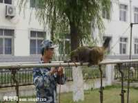 义乌市湾柑电子商务商行