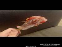 义乌市湾柑电子商务商行